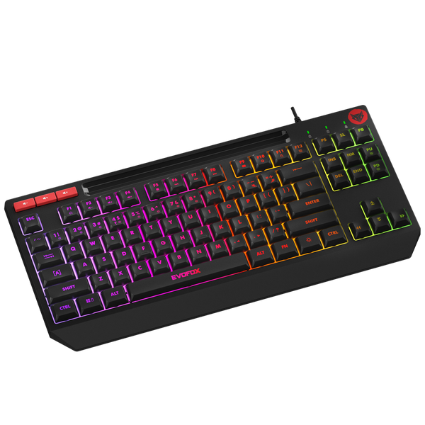 EvoFox Deathray TKL RGB Gaming Keyboard