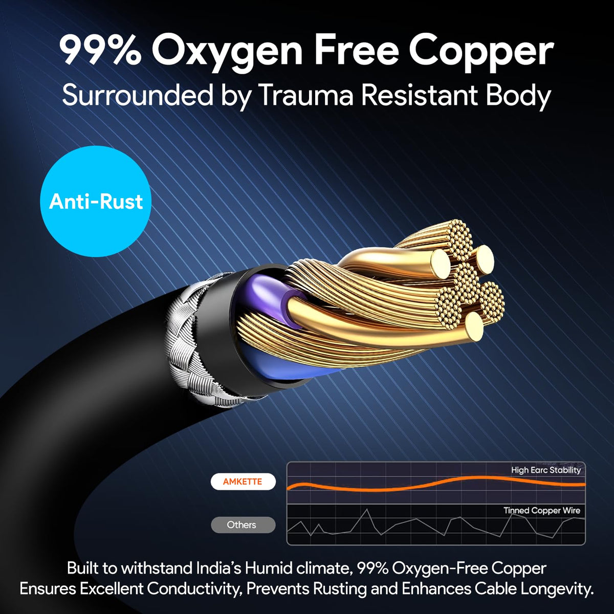 Amkette HDMI 2.0 Compliant Cable
