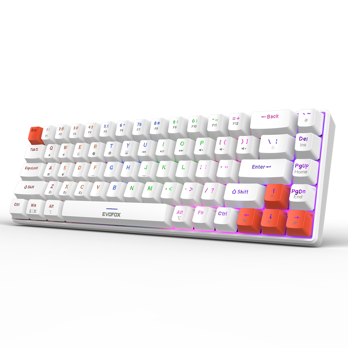 EvoFox Katana S Mini Tri-Mode Wireless Mechanical Keyboard – White