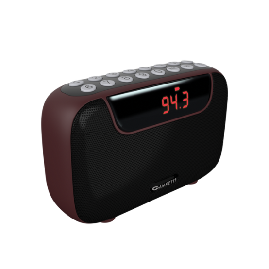 Amkette Pocket Blast FM Radio with Bluetooth Speaker