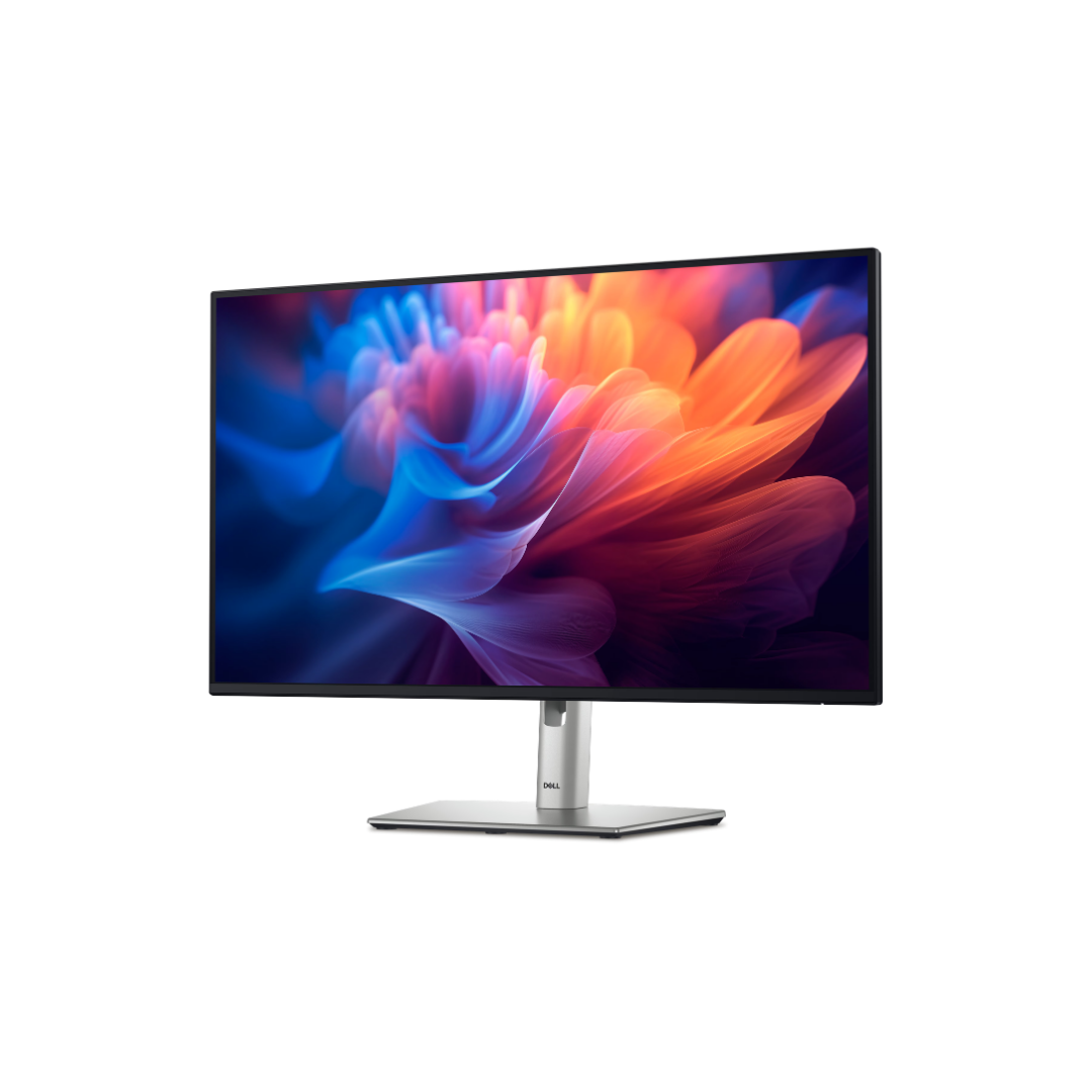 Dell P2725H Monitor – 1080p IPS Display, Smooth 100Hz Panel, Accurate Colours, Ergonomic Stand, USB-C Connectivity, Eye-Friendly Screen for Work & Daily Use
